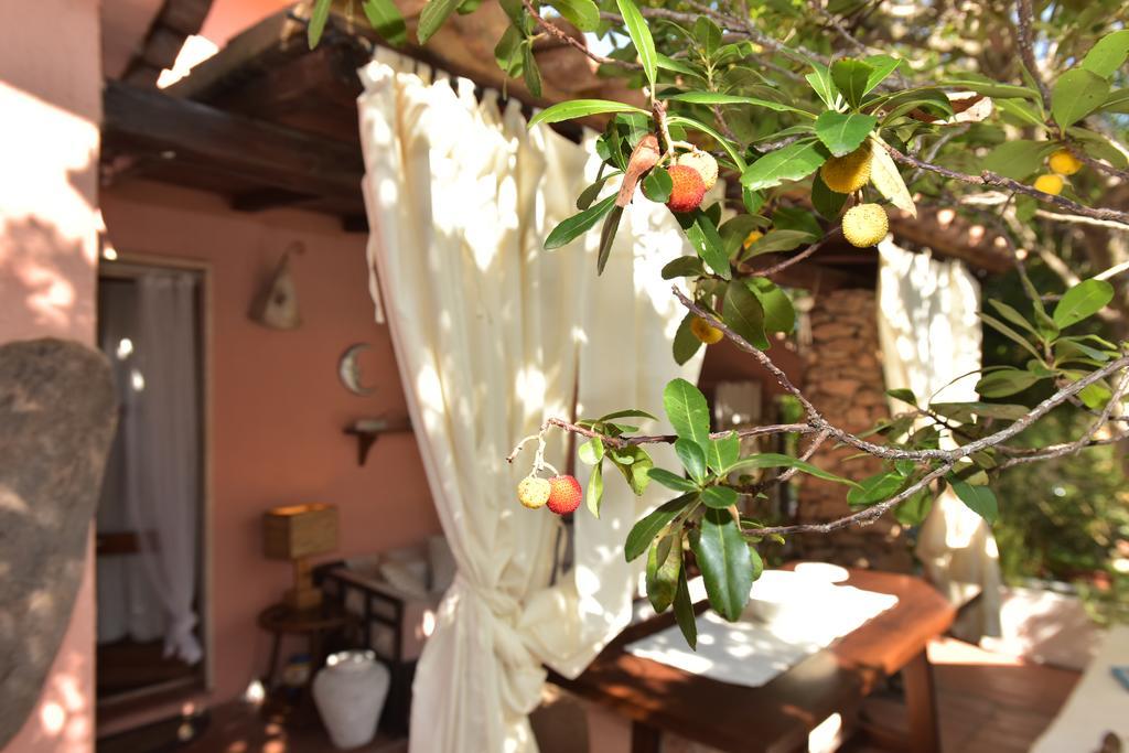 Bed & Breakfast Yin & Yang San Pantaleo Exterior photo